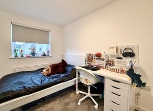 Photo 9- click for photo gallery